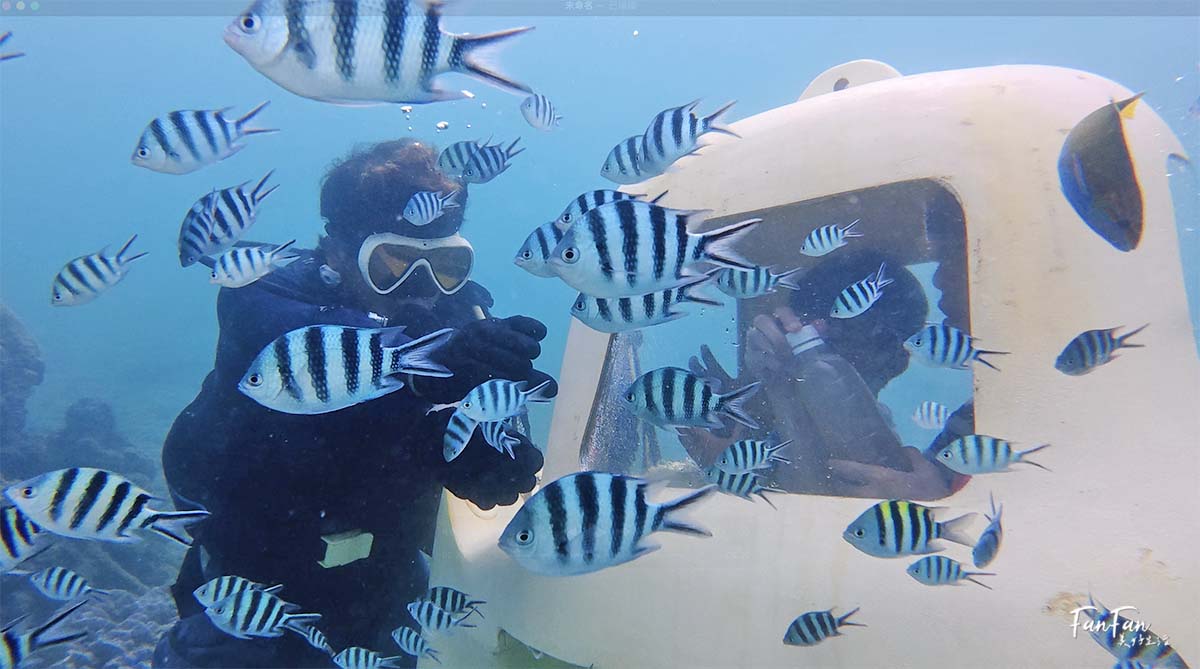 沖繩必玩!不用憋氣也能到海底看熱帶魚!沖繩潛水滑板車/海底滑板車|古宇利大橋水下活動推薦|思い出販売所美ら海潜水 - 第12張圖 沖繩必玩!不用憋氣也能到海底看熱帶魚!沖繩潛水滑板車/海底滑板車|古宇利大橋水下活動推薦|思い出販売所美ら海潜水