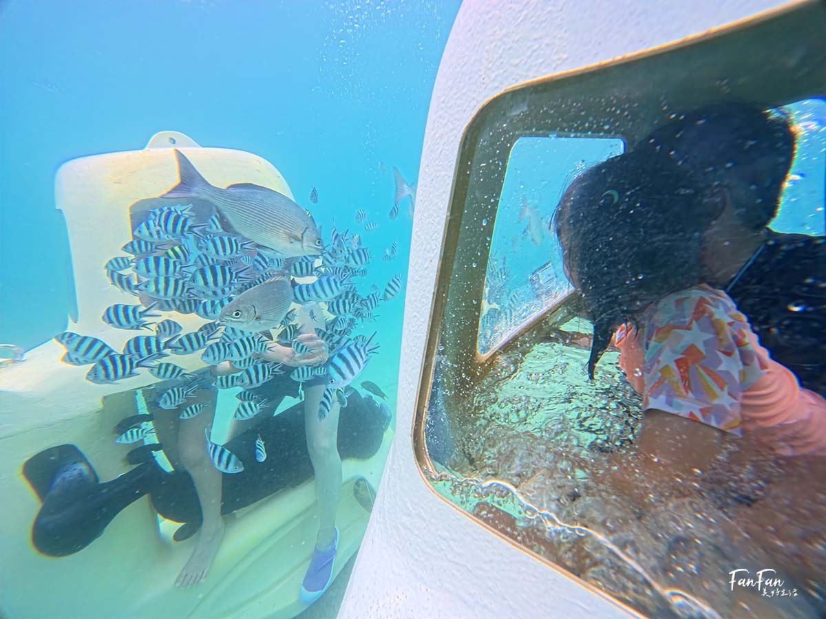 沖繩必玩!不用憋氣也能到海底看熱帶魚!沖繩潛水滑板車/海底滑板車|古宇利大橋水下活動推薦|思い出販売所美ら海潜水 - 第13張圖 沖繩必玩!不用憋氣也能到海底看熱帶魚!沖繩潛水滑板車/海底滑板車|古宇利大橋水下活動推薦|思い出販売所美ら海潜水