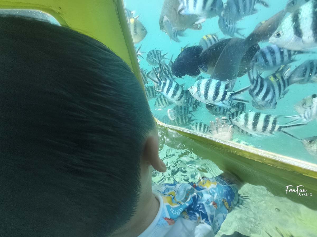 沖繩必玩!不用憋氣也能到海底看熱帶魚!沖繩潛水滑板車/海底滑板車|古宇利大橋水下活動推薦|思い出販売所美ら海潜水 - 第14張圖 沖繩必玩!不用憋氣也能到海底看熱帶魚!沖繩潛水滑板車/海底滑板車|古宇利大橋水下活動推薦|思い出販売所美ら海潜水