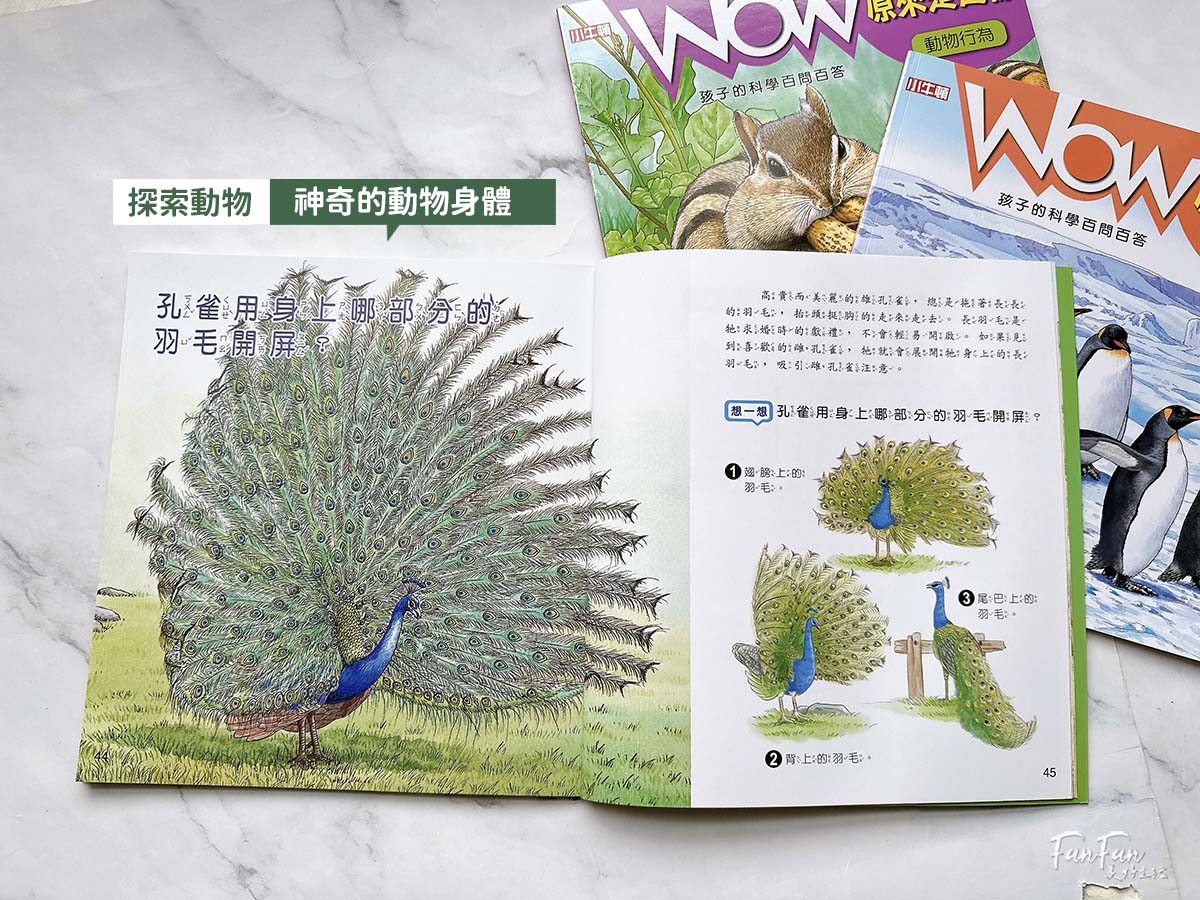 小牛頓科普書|WOW原來是這樣、漫畫成語百科、逗逗鎮幼兒氣象繪本:身邊的天氣 - 第12張圖 小牛頓科普書|WOW原來是這樣、漫畫成語百科、逗逗鎮幼兒氣象繪本:身邊的天氣