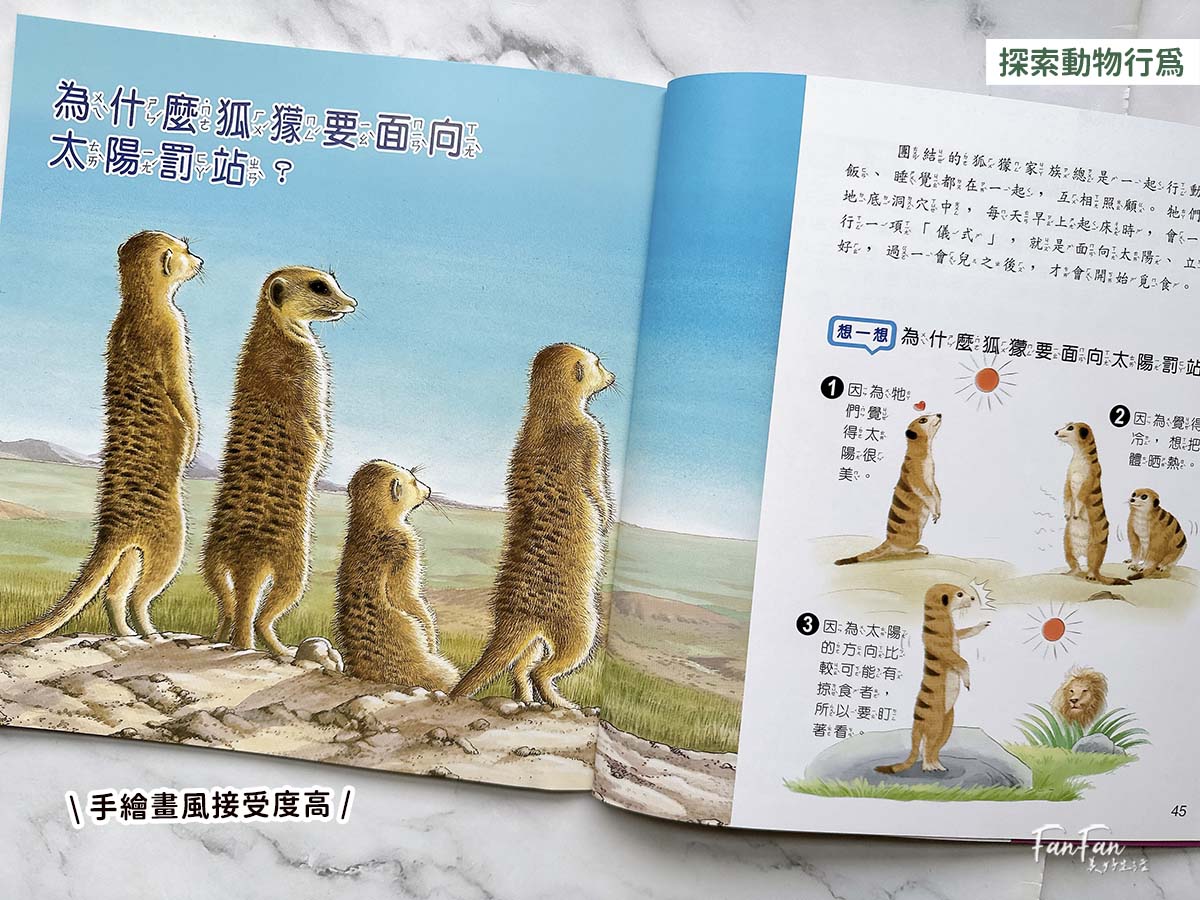 小牛頓科普書|WOW原來是這樣、漫畫成語百科、逗逗鎮幼兒氣象繪本:身邊的天氣 - 第13張圖 小牛頓科普書|WOW原來是這樣、漫畫成語百科、逗逗鎮幼兒氣象繪本:身邊的天氣