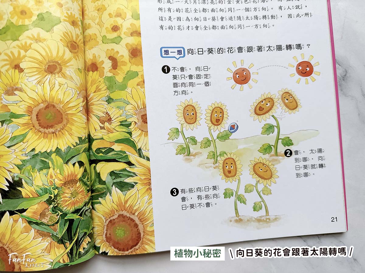 小牛頓科普書|WOW原來是這樣、漫畫成語百科、逗逗鎮幼兒氣象繪本:身邊的天氣 - 第14張圖 小牛頓科普書|WOW原來是這樣、漫畫成語百科、逗逗鎮幼兒氣象繪本:身邊的天氣