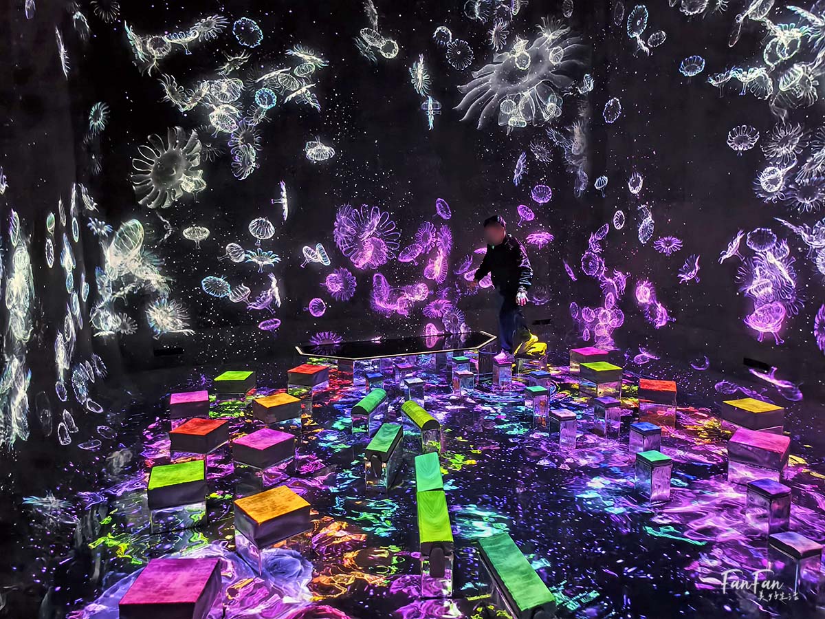 東京必去打卡景點!豐洲TeamLab Planets TOKYO DMM展覽參觀攻略!東京最夢幻的沈浸式互動藝術展覽 - 第38張圖 東京必去打卡景點!豐洲TeamLab Planets TOKYO DMM展覽參觀攻略!東京最夢幻的沈浸式互動藝術展覽