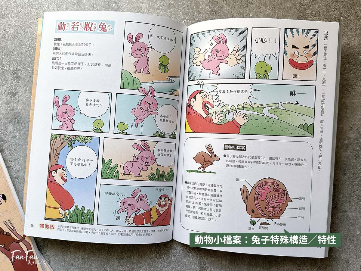 小牛頓科普書|WOW原來是這樣、漫畫成語百科、逗逗鎮幼兒氣象繪本:身邊的天氣 - 第32張圖 小牛頓科普書|WOW原來是這樣、漫畫成語百科、逗逗鎮幼兒氣象繪本:身邊的天氣