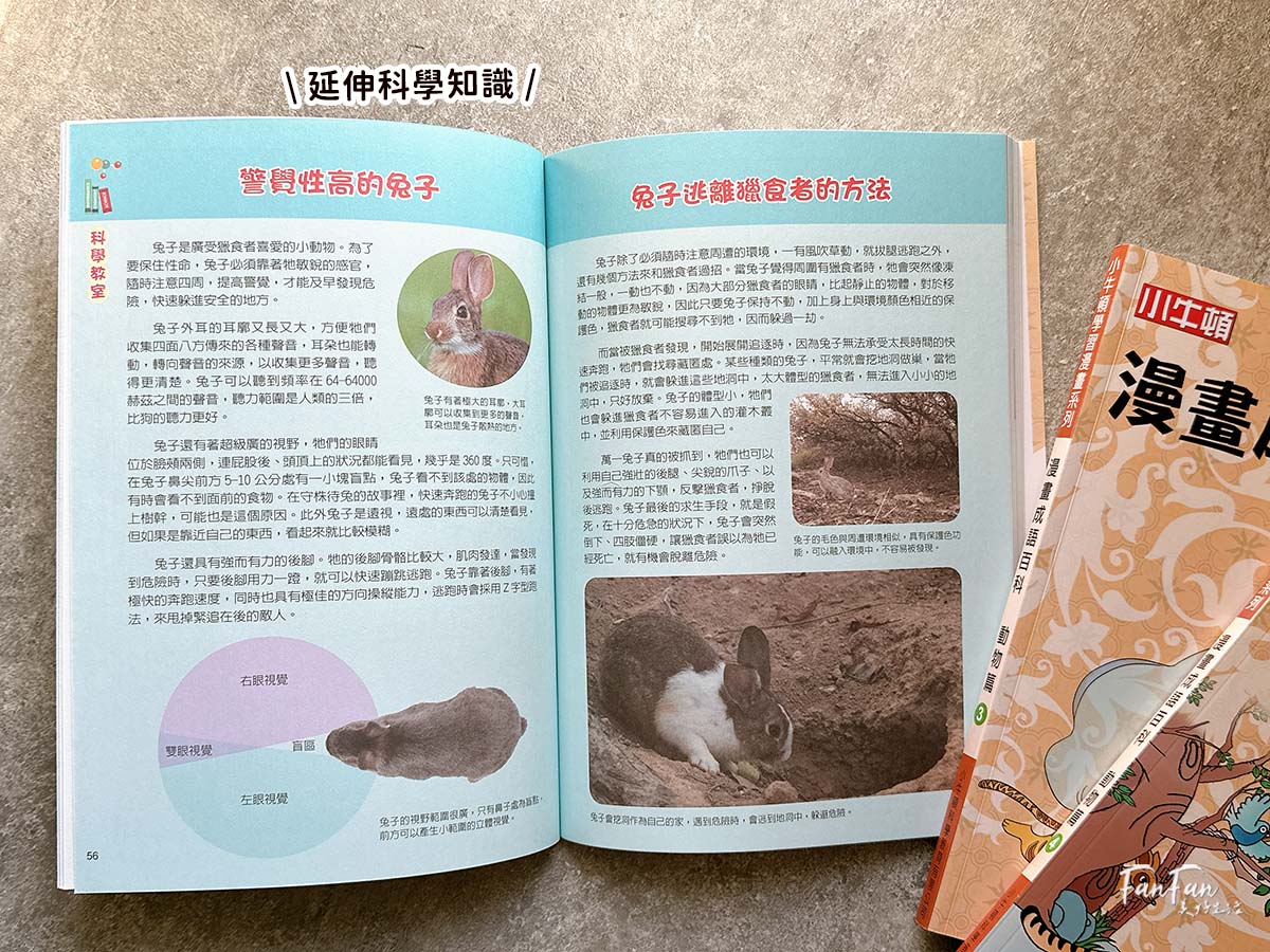 小牛頓科普書|WOW原來是這樣、漫畫成語百科、逗逗鎮幼兒氣象繪本:身邊的天氣 - 第33張圖 小牛頓科普書|WOW原來是這樣、漫畫成語百科、逗逗鎮幼兒氣象繪本:身邊的天氣