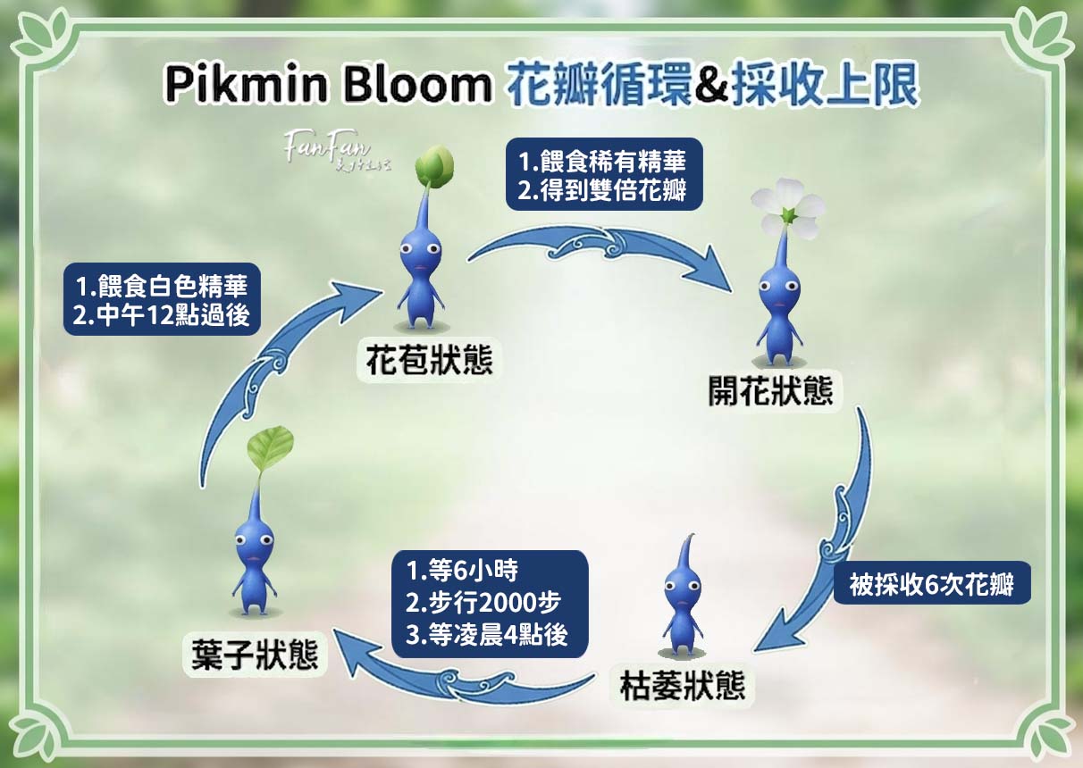 Pikmin Bloom皮克敏新手入門攻略、如何得到限定花瓣、每月主花副花整理(持續更新中) - 第4張圖 Pikmin Bloom皮克敏新手入門攻略、如何得到限定花瓣、每月主花副花整理(持續更新中)