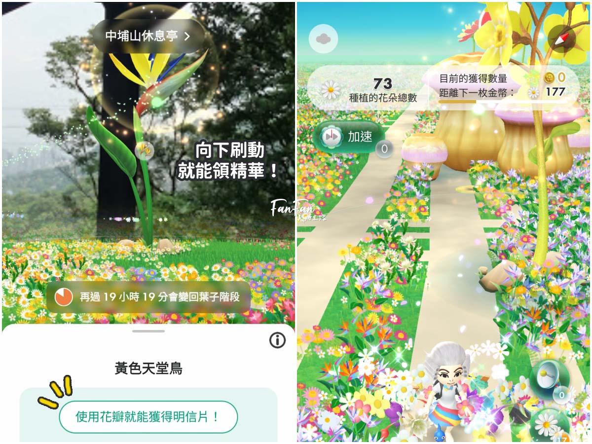 Pikmin Bloom皮克敏新手入門攻略、如何得到限定花瓣、每月主花副花整理(持續更新中) - 第10張圖 Pikmin Bloom皮克敏新手入門攻略、如何得到限定花瓣、每月主花副花整理(持續更新中)